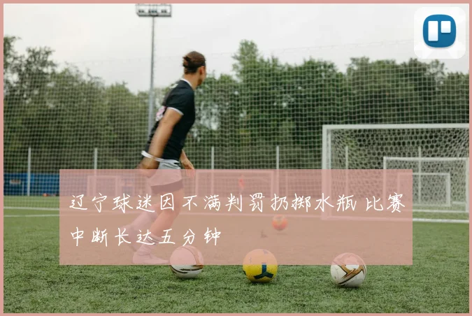 辽宁球迷因不满判罚扔掷水瓶 比赛中断长达五分钟